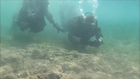 Recon Marines Conduct Night Dives with Dutch Marines during Exercise Caribbean Coastal Warrior