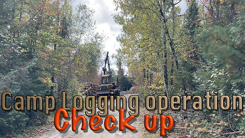 Camp Logging Operation Check Up