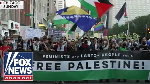 Bombshell report reveals shocking information about anti-Israel protesters at DNC