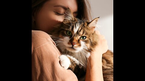 "Why Living with Cats is Purr- fect !" - The Surprising Benefits !