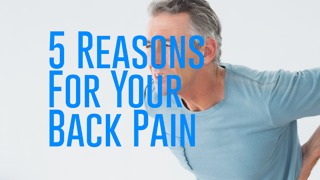 5 Reasons for Your Back Pain