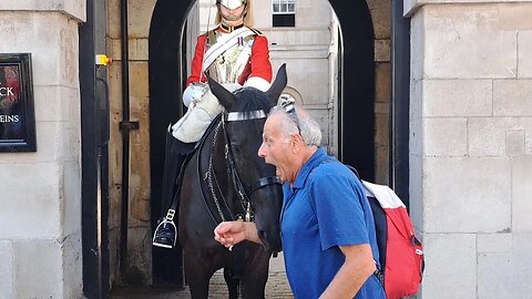 The horse spares no one. Read the sign horses may kick or bite #horseguardsparade