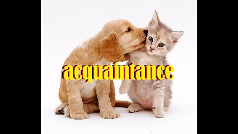 Acquaintance