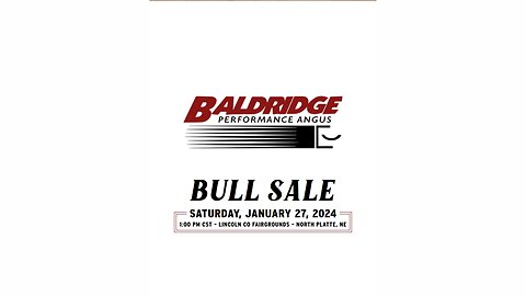 Baldridge Performance Angus 2024 Bull Sale Catalog, North Platte, Nebraska