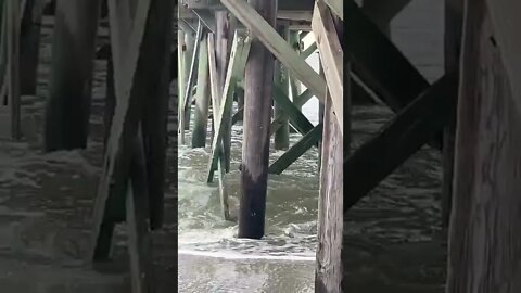 Waves By The Pier at Isle of Palms, SC