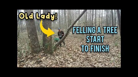 Old Lady Fells a Tree and Cuts it All Up! - Ann's Tiny Life