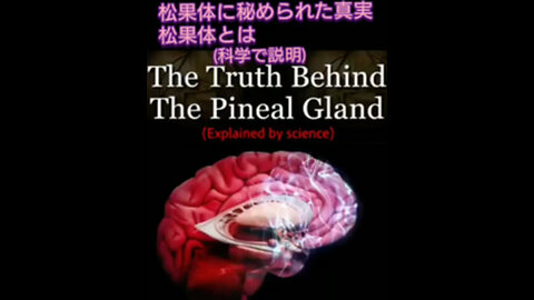松果体に秘められた真実〜松果体とは〜