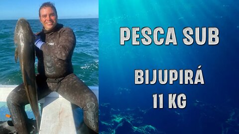 Pesca Sub Apneia - Captura de um Bijupirá de 11 Kg - #pescasub #pescasubmarina #spearfishing