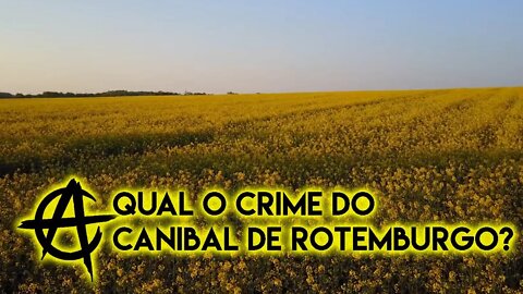 Qual o crime do canibal de Rottemburgo?