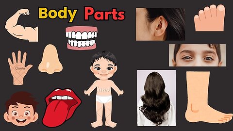 Learning Body Part