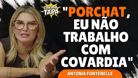 DEU TRETA! ANTONIA FONTENELLE RESPONDE FÁBIO PORCHAT