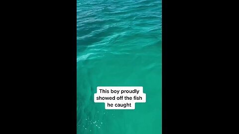 OMG the little boy bite by Shark