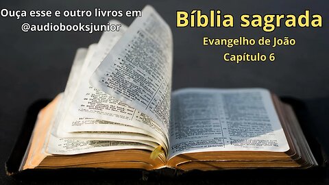 Bíblia Sagrada - Evangelho de João - Capítulo 6