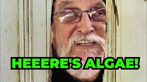 HEEERE'S ALGAE!