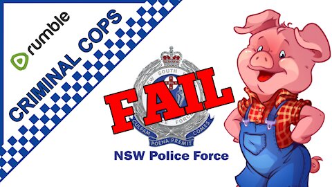 NSW Police use excessive force / Assault Woman Driver