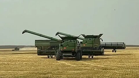 The Final Cut of the 2023 Highwood Montana Wheat Harvest / Day 28 (August 16)