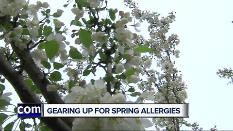 Spring allergies soon making comeback