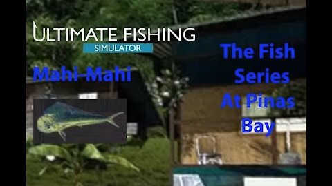 Ultimate Fishing Simulator: The Fish - PinasBay - Mahi Mahi - [00043]