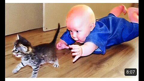 Funny Babies Playing with Dogs and Cats Compilation || Just Laugh