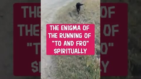 Morning Musings # 295 The Enigma Of The Running "To And Fro" Of Spirituality