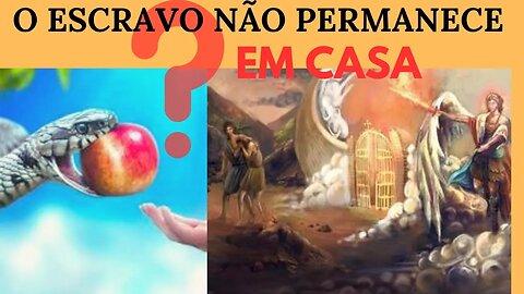 O Escravo Não Permanece Em Casa.