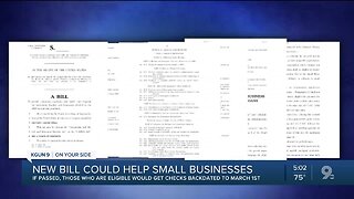 Senator McSally speaks on economic relief bill