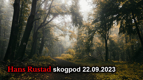 Skogpod 22. september 2023