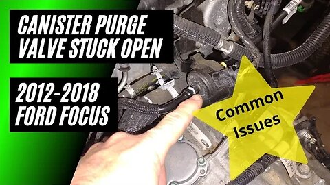 2012-2018 Ford Focus 2.0 Common Points Of Failure/ Stuck Open Canister Purge Valve