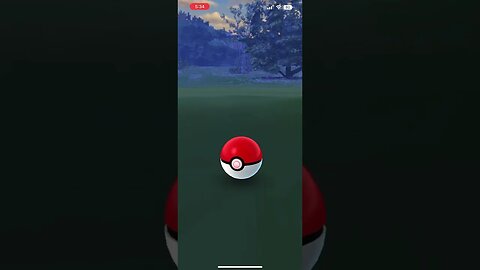 Pokémon Go - Catching Wild Bagon