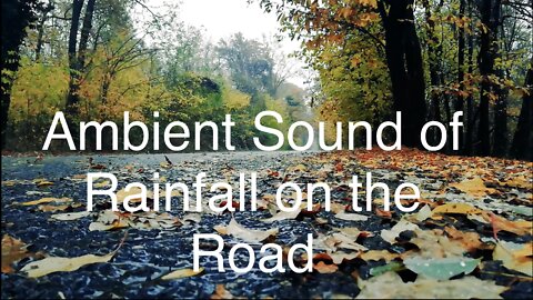 Ambient Sound of Rainfall on the Road