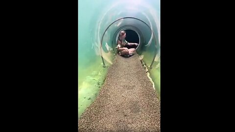 Miami Zoo’s underwater tunnel to see a crocodile