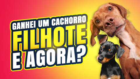 TOP DICAS COMO CUIDAR DE CÃES FILHOTES🐶🐶🐶