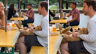 Puppy Adorably Gets "Happy Feet" While Out For Drinks