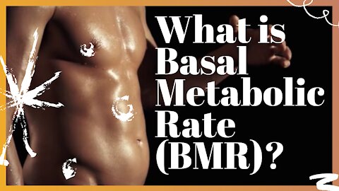 What is Basal Metabolic Rate (BMR)?