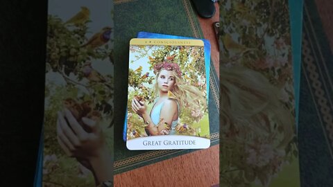 Aquarius ♒ Lions Gate Message 08/08 #aquarius #lionsgate