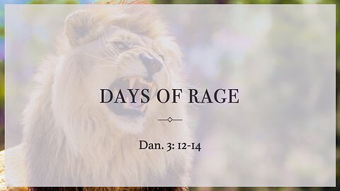 Days Of Rage - Sunday Service - 8/18/2024