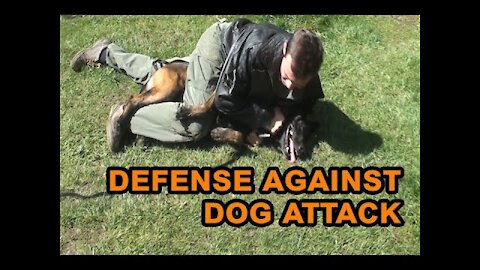 How to use self-defence against aggressive dog.