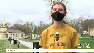 Bellevue students working to clean up parks, streets