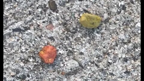 YellowAndSalmonColoredPebbles