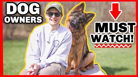 The Biggest Overlooked Dog Training Command (DON'T MISS IT!)