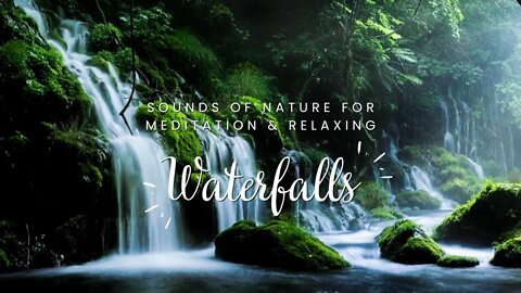 FALL ASLEEP to the gentle hum of the waterfall and the sounds of nature! OVER 8 HOURS!