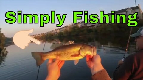 Simply Fishing - Spinnerbaits and Deps Cover Scat