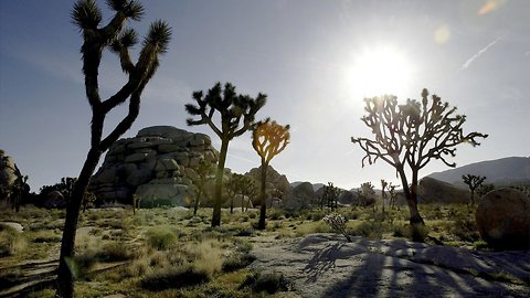 National Parks Overwhelmed With Trash As Government Shutdown Continues