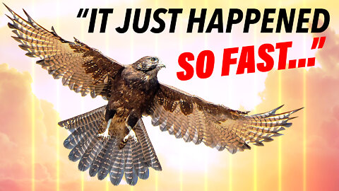 A Shocking God Encounter…With a FALCON?