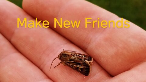 Make Friends