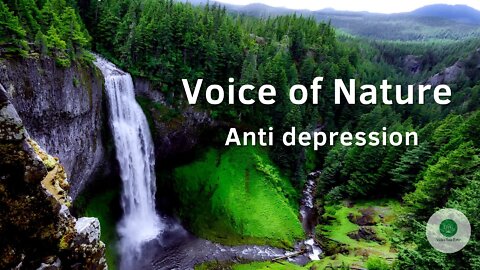 Relaxing Music inspired in the Voice of Nature [ANTI DEPRESSION]