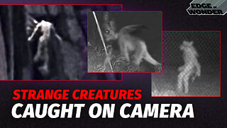 Strange 20-Foot Creature Filmed & More Cryptid Sightings