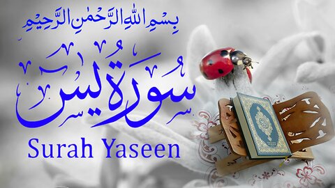 Best Quran recitation // Surah Yasin // Yaseen // Qari Shahid Mahmood Qadri