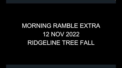 Morning Ramble Extra - 20221112E - Ridgeline Tree Fall