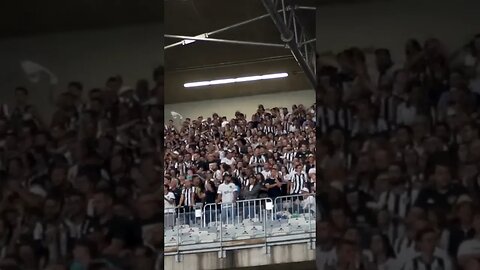 🔥👏🏼APRECIEM! SHOW DA MASSA COMPACTA ALVINEGRA NO MINEIRÃO! #botafogo #brasileirão #segueolíder